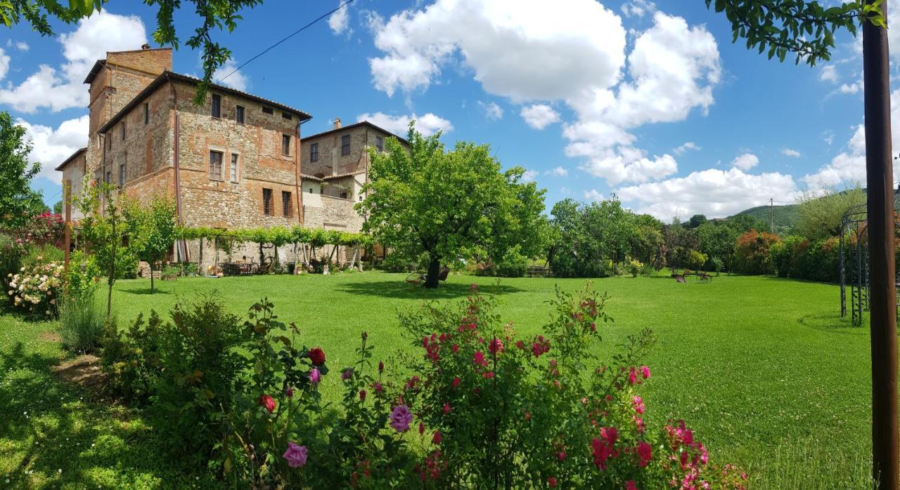 Agriturismo Abbazia Sette Frati A Casa Di Sara Villa Pietrafitta  Bagian luar foto